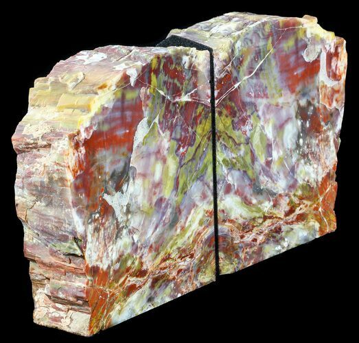 Tall, Colorful, Arizona Petrified Wood Bookends #56033